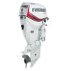 Evinrude E115DGL 115 HP Outboard Motor