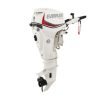 Evinrude E30DGTL E-TEC Outboard Motor