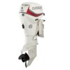 Evinrude E40DGTL E-TEC Outboard Motor